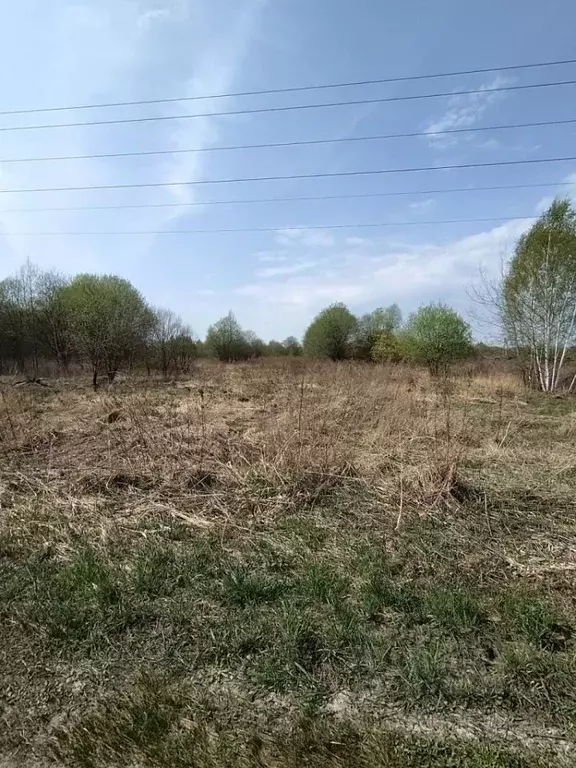 Участок в Московская область, Егорьевск муниципальный округ, д. ... - Фото 0