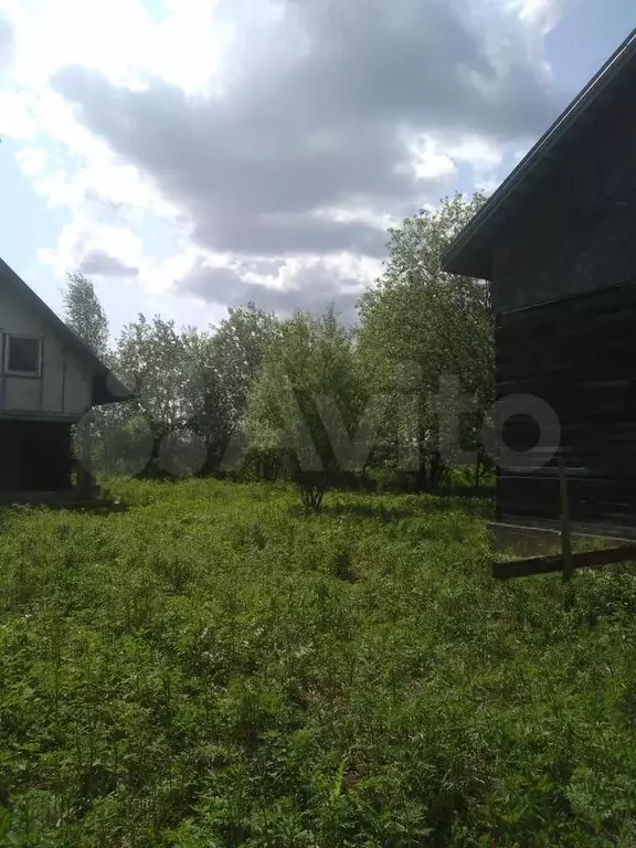 Участок 10 сот. (СНТ, ДНП) - Фото 1