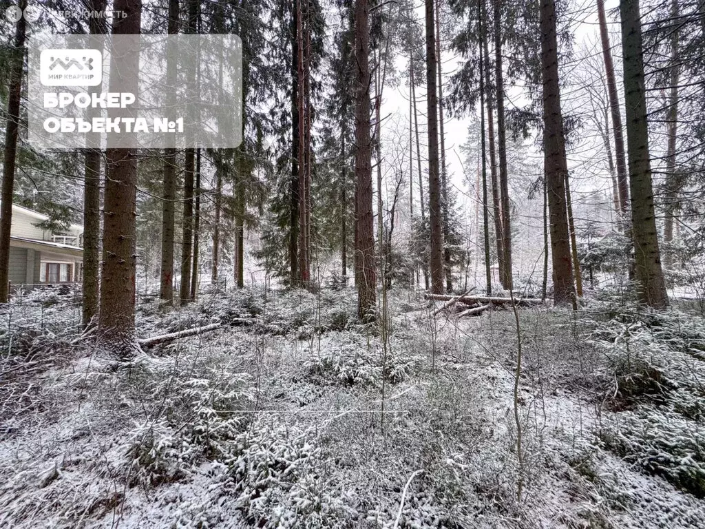 Участок в Зеленогорск, 2-я Лесная улица (9.98 м) - Фото 1