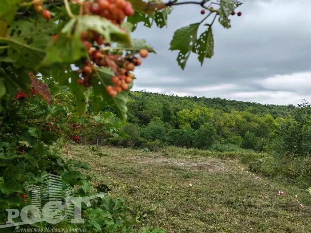 Участок в Приморский край, Артем Родник-1 СНТ, ул. Лесная (10.0 сот.) - Фото 0