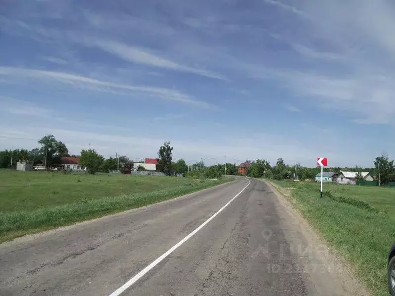 Участок в Воронежская область, Рамонский район, д. Борки ул. Мира ... - Фото 1