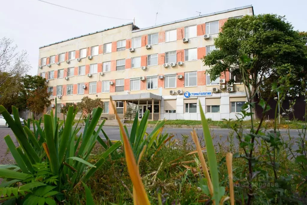 Офис в Ростовская область, Ростов-на-Дону ул. Вавилова, 59В/101 (30 м) - Фото 2