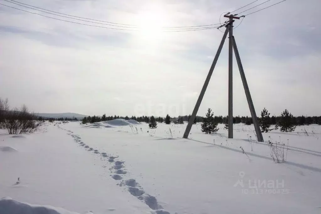 Участок в Свердловская область, Горноуральский муниципальный округ, с. ... - Фото 0