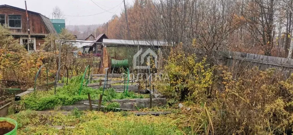 Участок в Хабаровский край, Комсомольск-на-Амуре АСЗ Сад № 4 СНТ, ул. ... - Фото 1