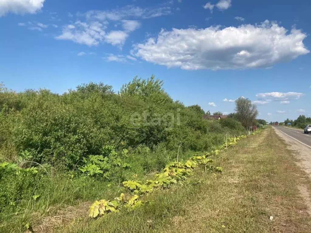 Участок в Ярославская область, Ярославский район, Заволжское с/пос, д. ... - Фото 1