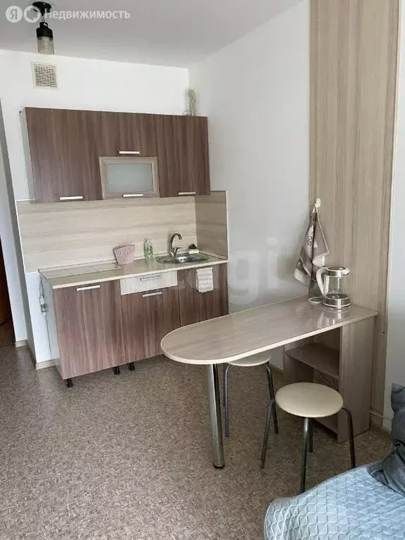 Квартира-студия: Красноярск, улица Лесников, 25 (21.4 м) - Фото 1