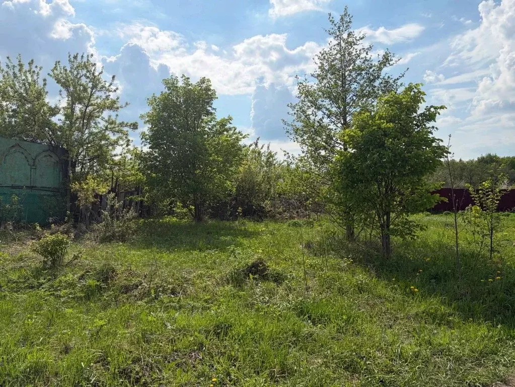 Участок в Московская область, Кашира городской округ, д. Срезнево ... - Фото 1