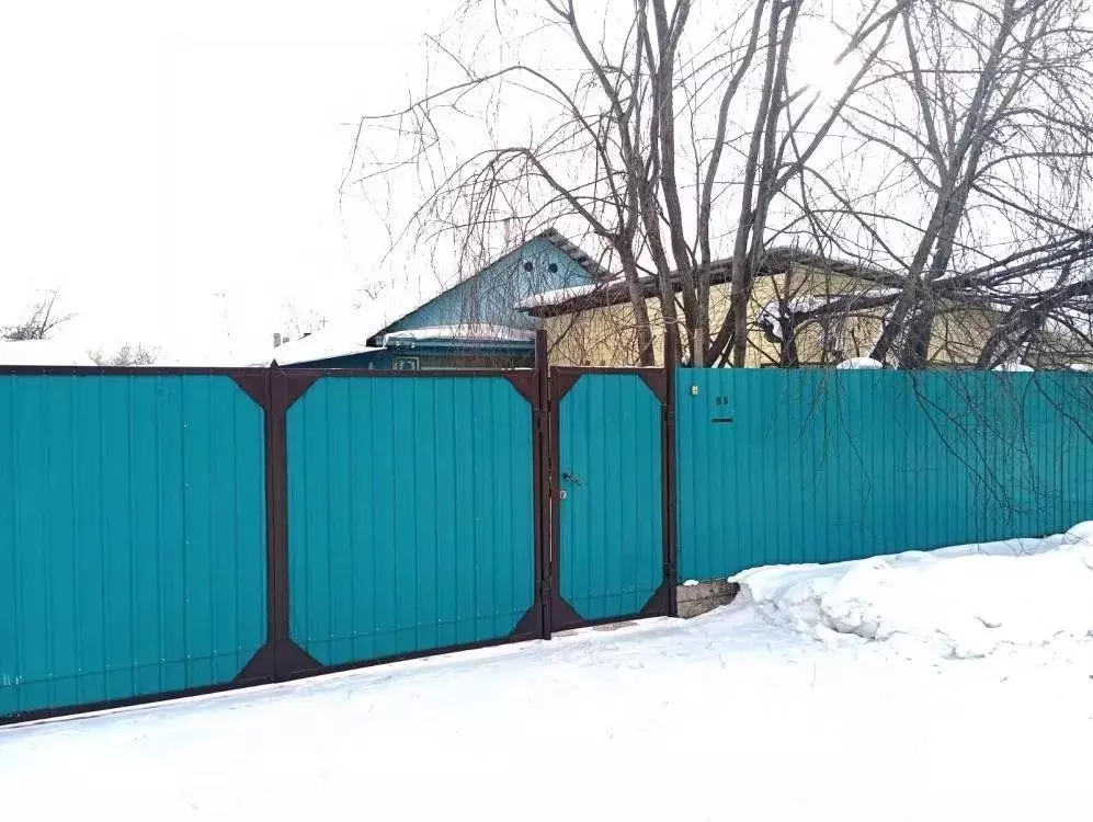 Дом в Амурская область, Белогорск ул. Гаюнова, 63 (51 м) - Фото 2