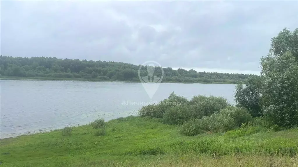 Участок в Рязанская область, Шиловский район, Задубровское с/пос, с. ... - Фото 2