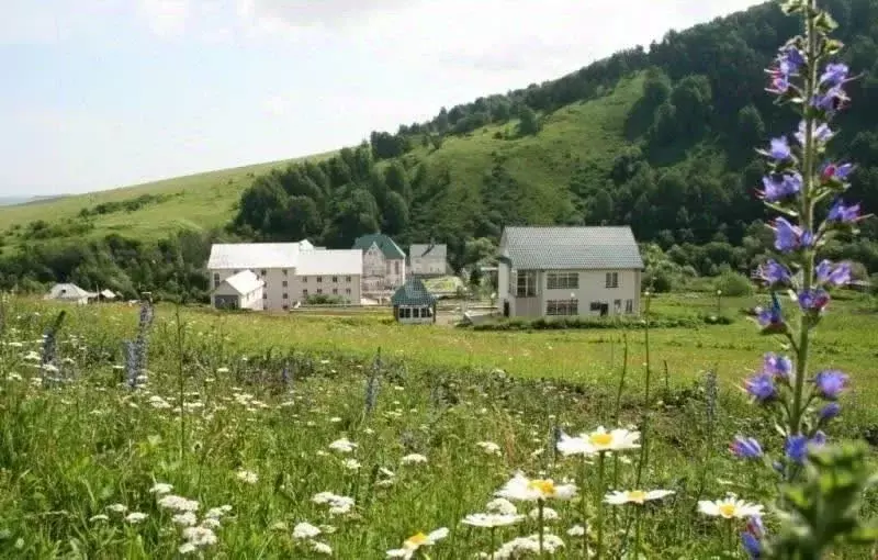 Участок в Алтайский край, Бийск Алтайская ул. (11.0 сот.) - Фото 1