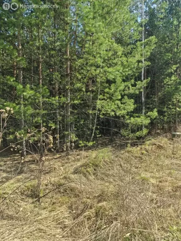 Участок в Заречный, улица Победы (10 м) - Фото 1
