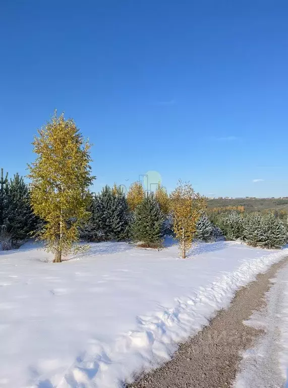 Участок в Иркутская область, Иркутский муниципальный округ, д. ... - Фото 1