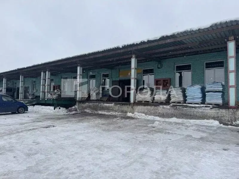 Склад в Новосибирская область, Новосибирск Толмачевская ул., 19 (630 ... - Фото 1