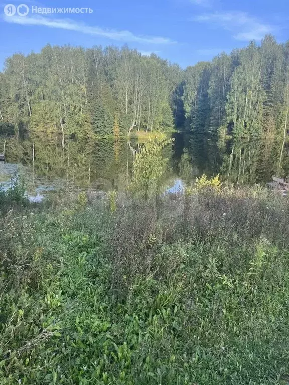 Участок в Медведевский район, Шойбулакское сельское поселение, деревня ... - Фото 2