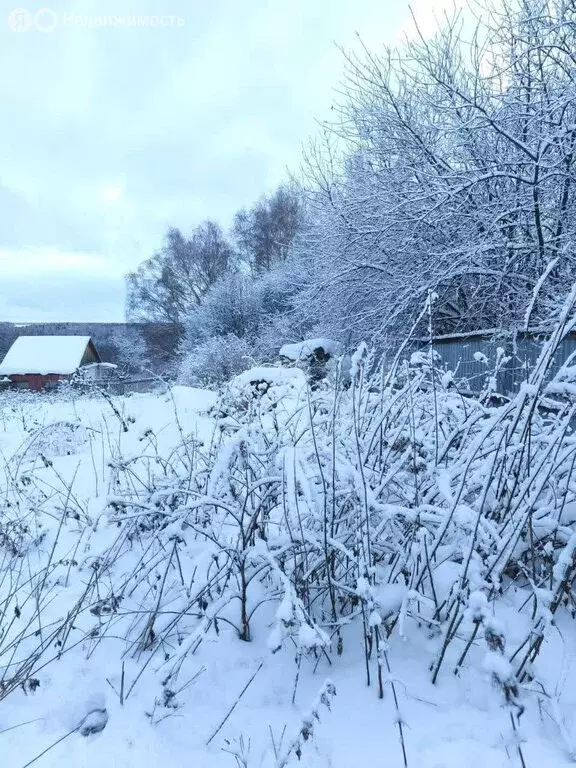 Участок в Богашёво, Южная улица (6 м) - Фото 2