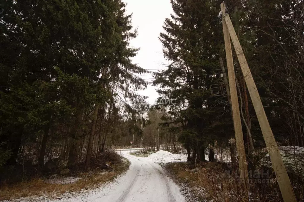 Участок в Карелия, Пряжинский район, Эссойльское с/пос, д. Чуралахта ... - Фото 1