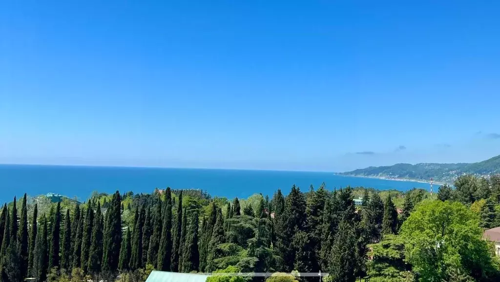 3-к кв. Краснодарский край, Сочи Новый Сочи мкр, ул. Бамбуковая, ... - Фото 1