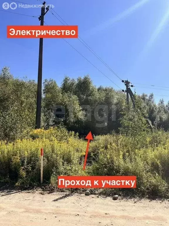 Участок в Светловский городской округ, посёлок Песчаное (148.1 м) - Фото 0
