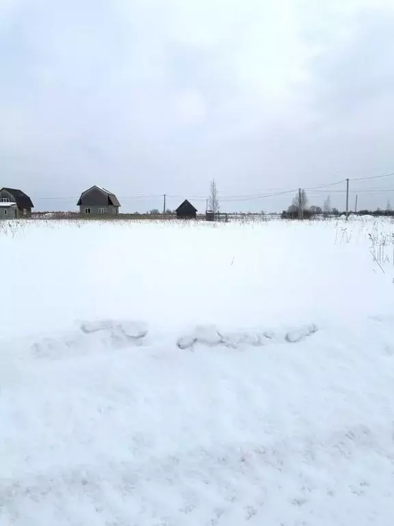 участок в тюменская область, тюменский район, с. червишево (300.0 . - Фото 1