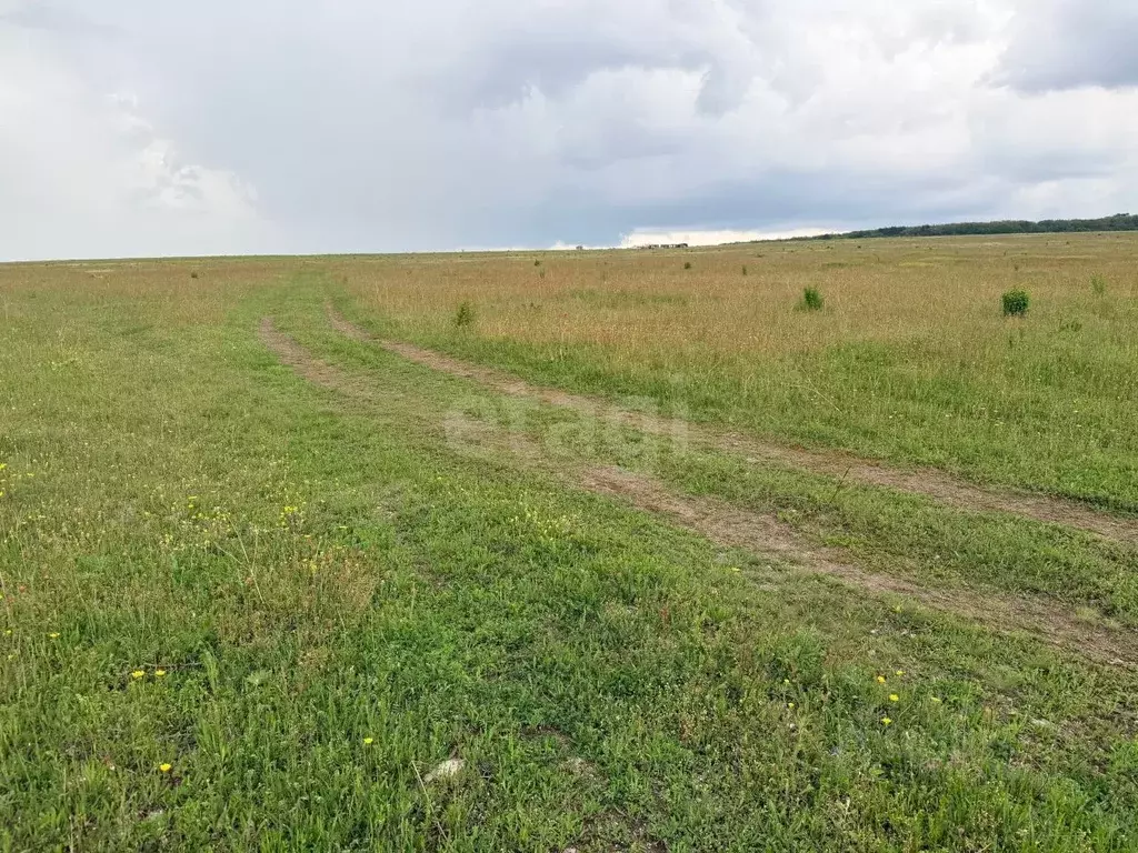 Участок в Крым, Симферопольский район, с. Чистенькое  (6.0 сот.) - Фото 2