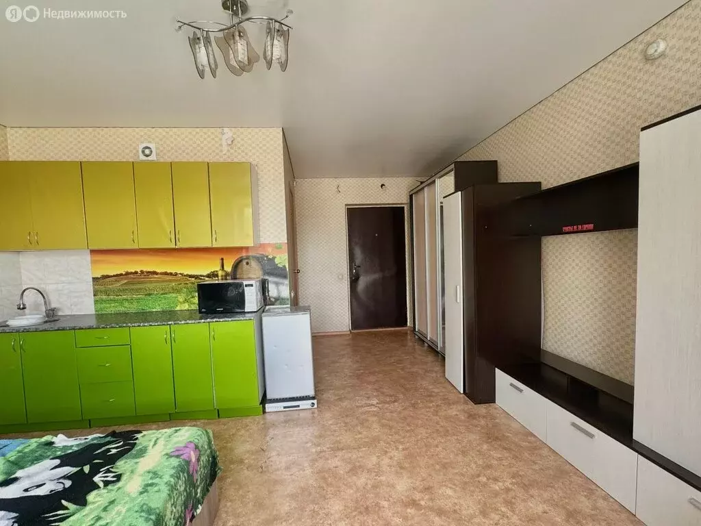 Квартира-студия: Челябинск, улица Завалишина, 39 (24.6 м) - Фото 1