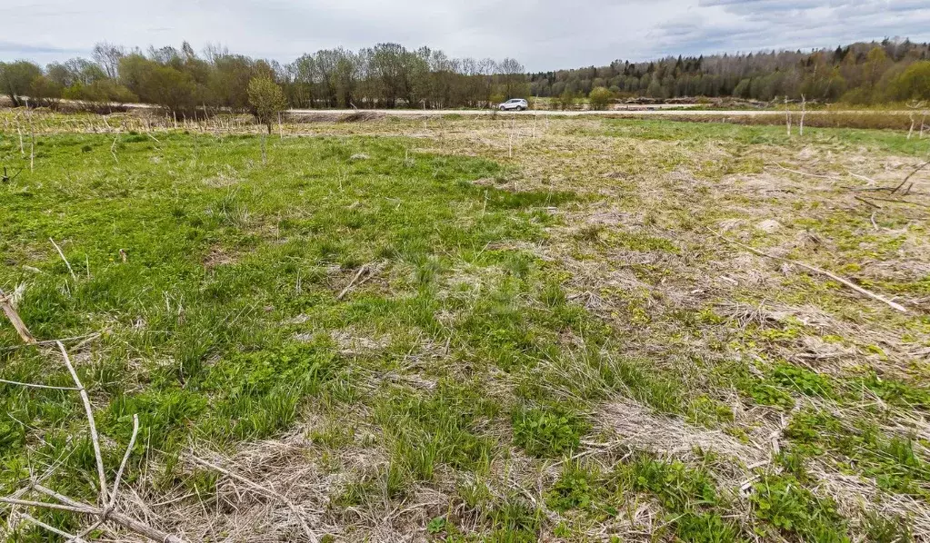 Участок в Вологодская область, пос. Перьево  (25.24 сот.) - Фото 2