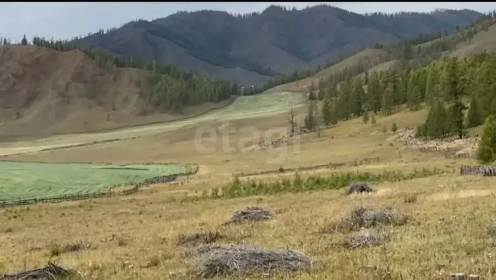 Участок в Алтай, Усть-Канский район, с. Яконур  (500.0 сот.) - Фото 1