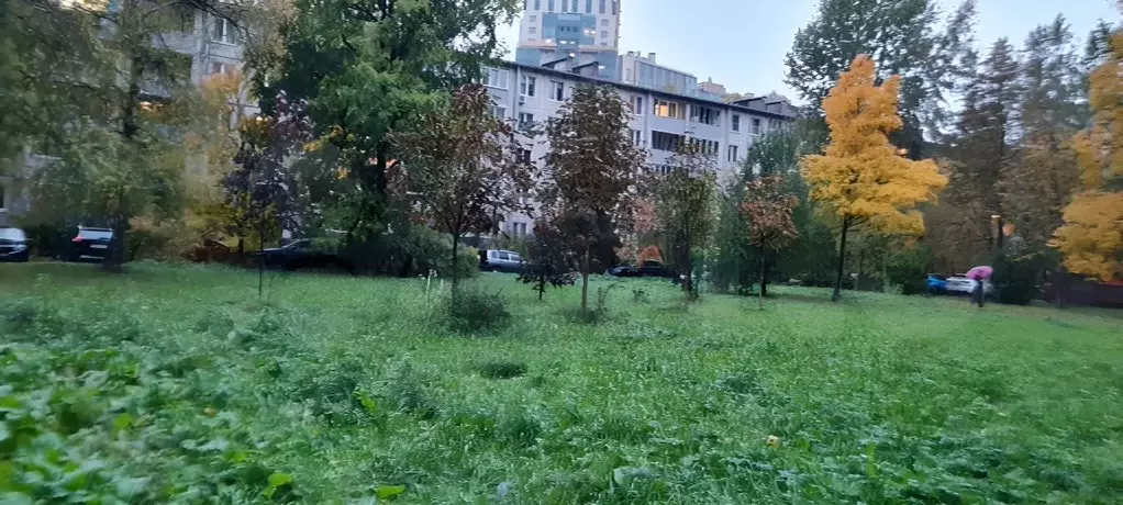 2-к кв. Санкт-Петербург Звездная ул., 14 (48.0 м) - Фото 0