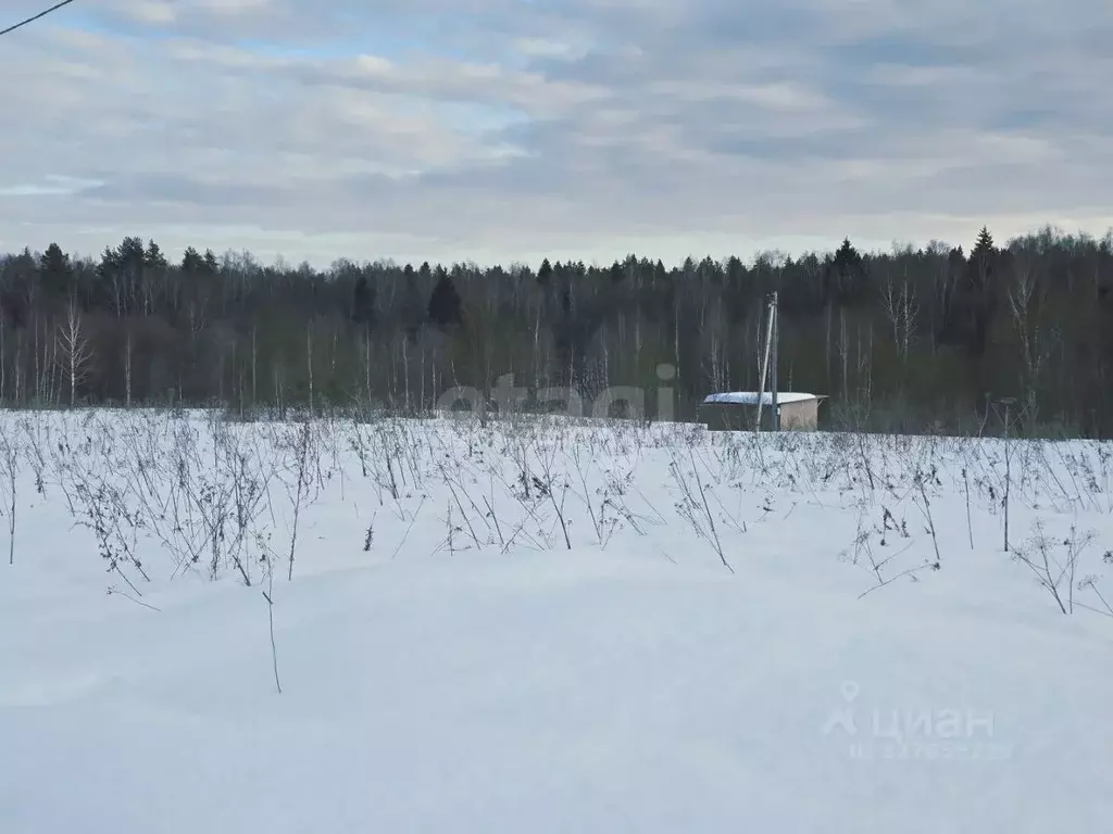 Участок в Калужская область, Калуга  (9.25 сот.) - Фото 2