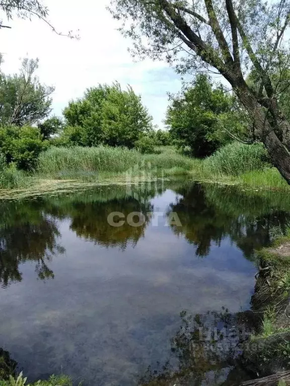 Участок в Воронежская область, с. Верхняя Хава  (10.0 сот.) - Фото 0