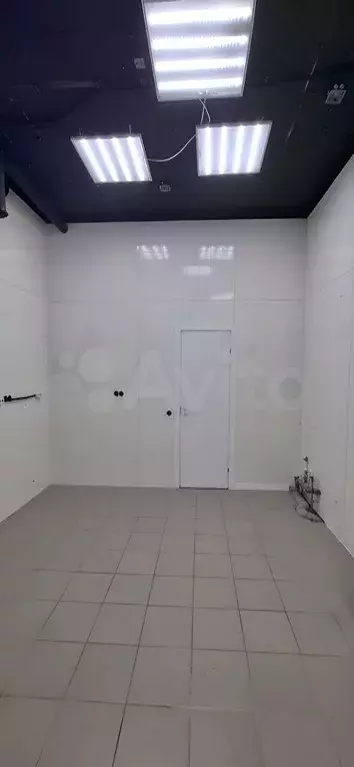 Помещение свободного назначения в Ленинградская область, Кудрово г. ... - Фото 1