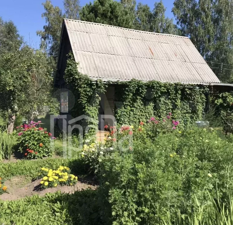 Дом в Красноярский край, Емельяновский район, Мининский сельсовет, ... - Фото 0