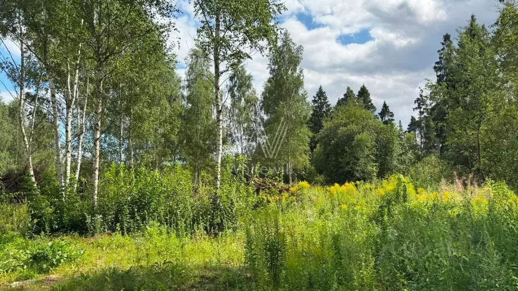 Участок в Московская область, Красногорск городской округ, д. ... - Фото 1