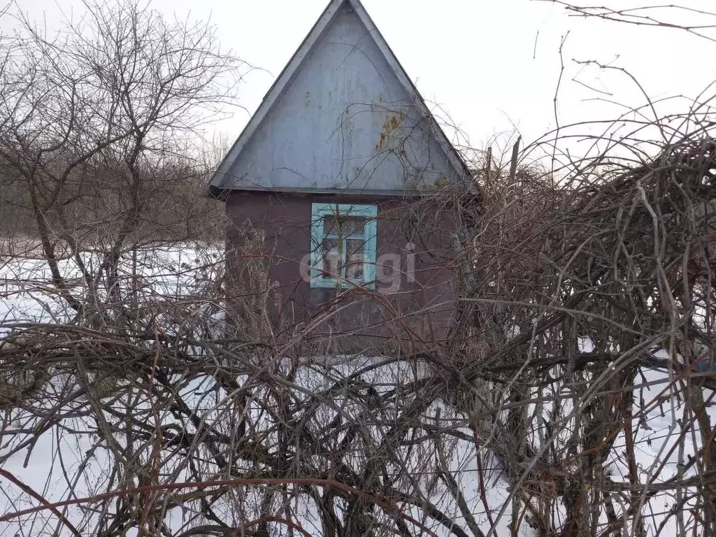 Дом в Белгородская область, Губкинский городской округ, с. Аверино  ... - Фото 0