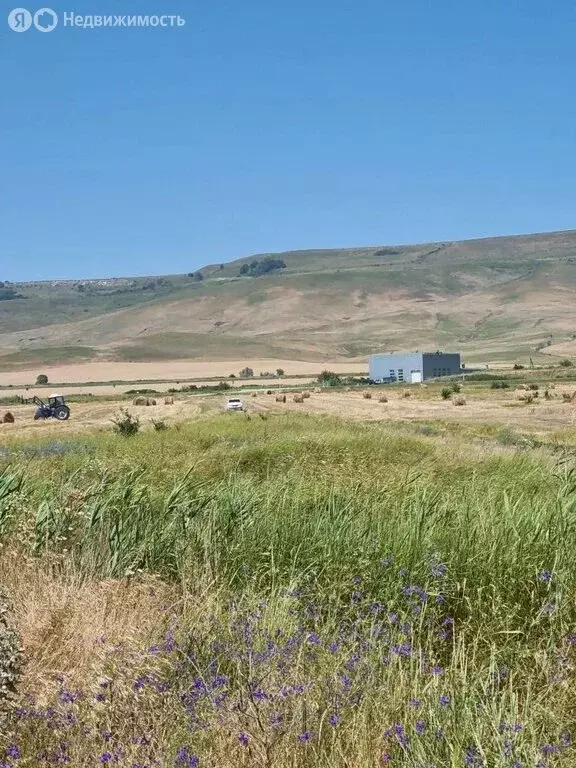 Участок в станица Барсуковская, улица Ленина, 1Б (3700 м) - Фото 2