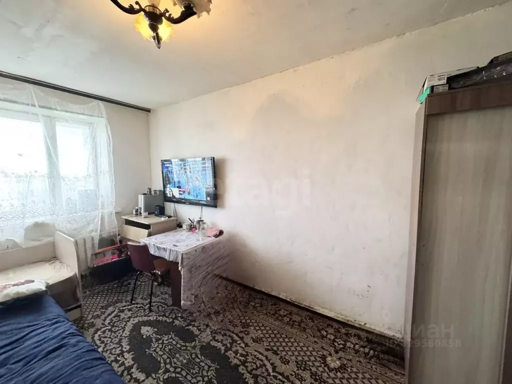 Комната Белгородская область, Белгородский муниципальный округ, ... - Фото 1