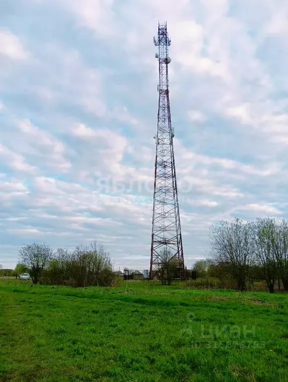 Участок в Пермский край, Березники муниципальное образование, д. ... - Фото 2
