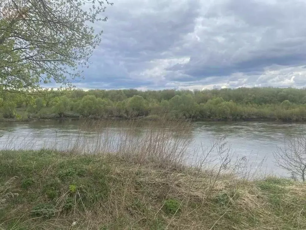 Участок в Воронежская область, Рамонский район, с. Новоживотинное ул. ... - Фото 2