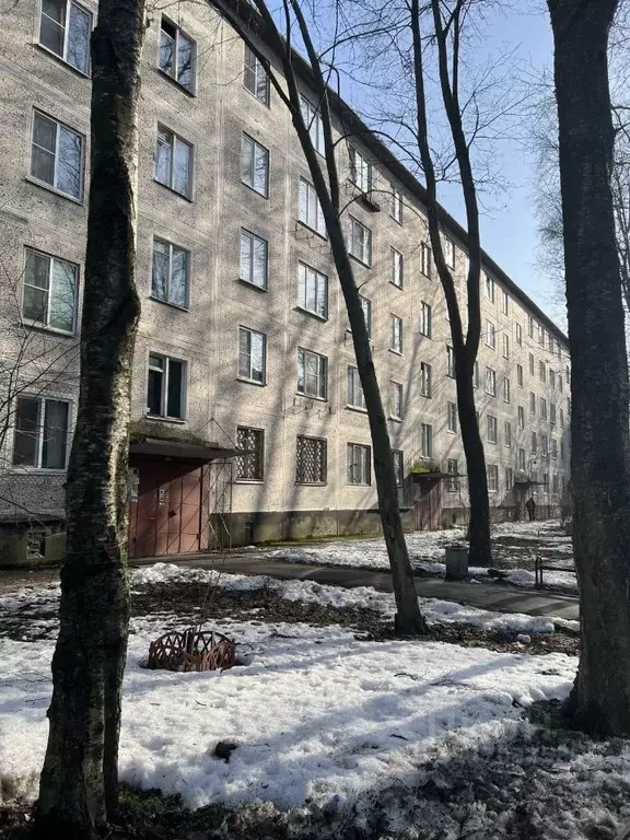 Комната Санкт-Петербург просп. Большевиков, 63К2 (15.7 м) - Фото 1