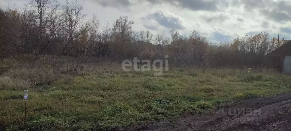 Участок в Алтайский край, Барнаул городской округ, с. Лебяжье ул. ... - Фото 1