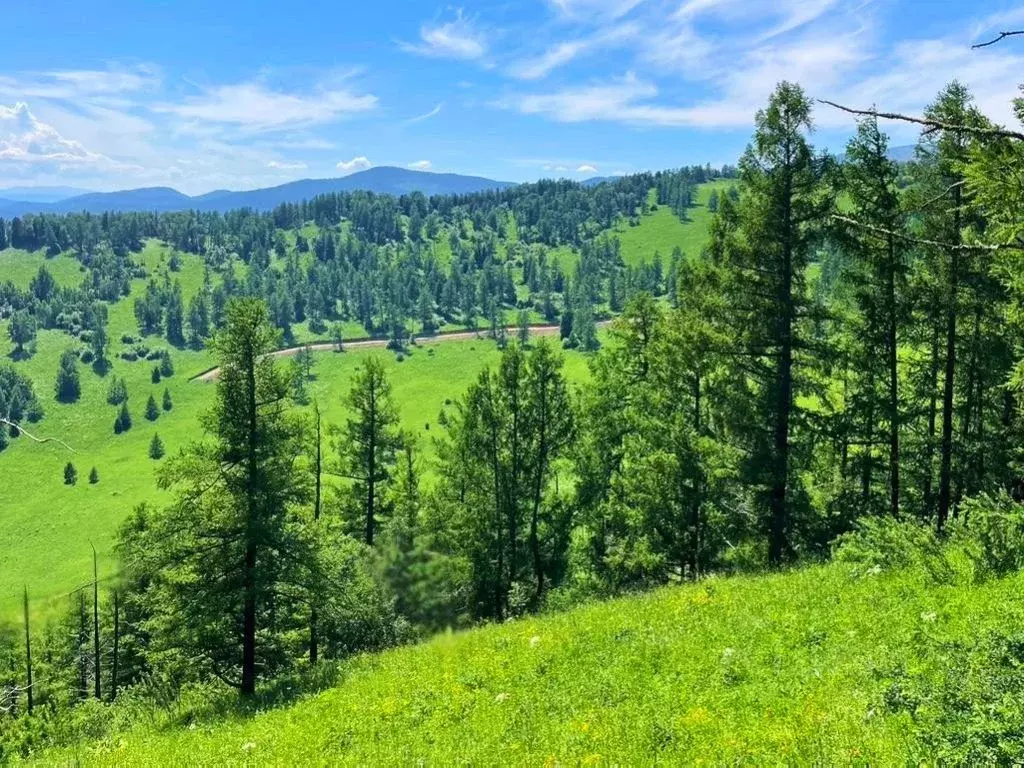 Участок в Алтай, Чемальский район, Седьмое небо кп  (75.14 сот.) - Фото 1