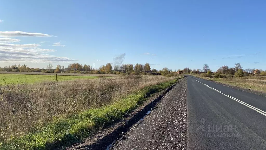 Участок в Новгородская область, Чудовский район, Трегубовское с/пос, ... - Фото 1