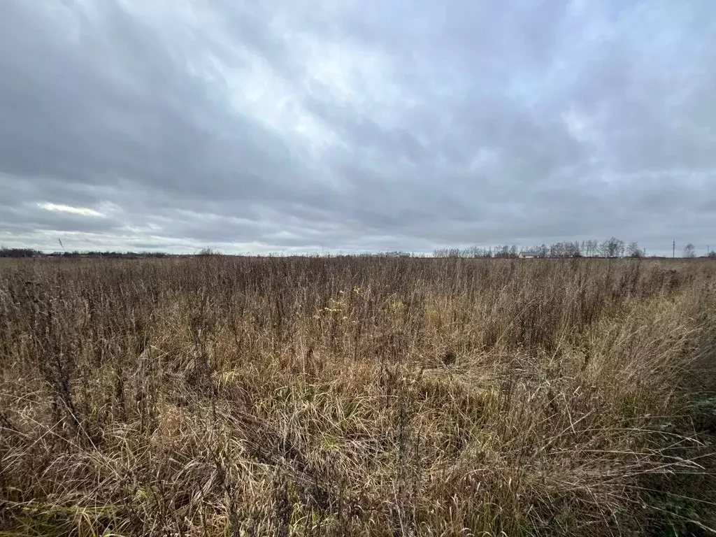 Участок в Ярославская область, Ярославский муниципальный округ, ... - Фото 1