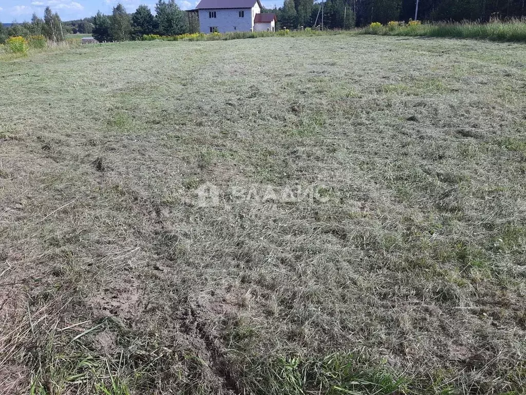 Участок в Владимирская область, Судогодский район, Лавровское ... - Фото 1