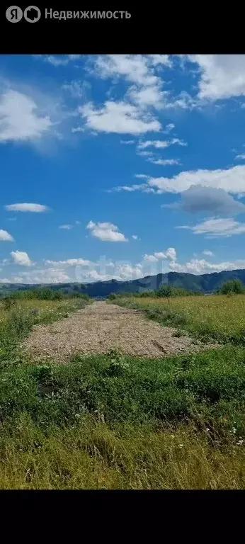 Участок в Алтайский район, Айский сельсовет, село Ая (19 м) - Фото 0