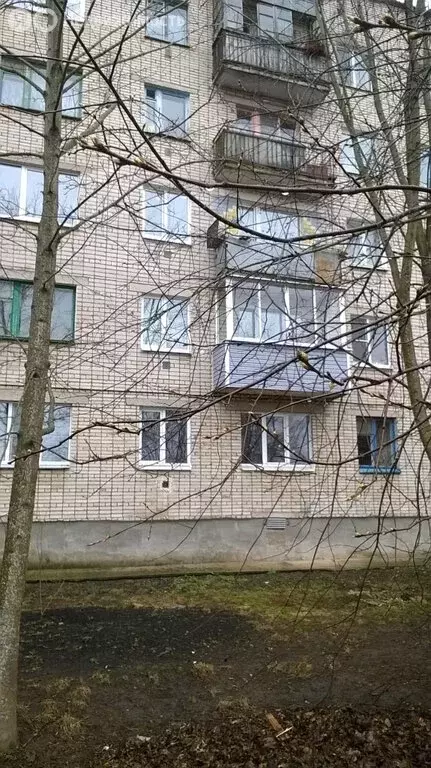 1-комнатная квартира: Старая Русса, улица Тахирова, 12 (29.8 м) - Фото 2