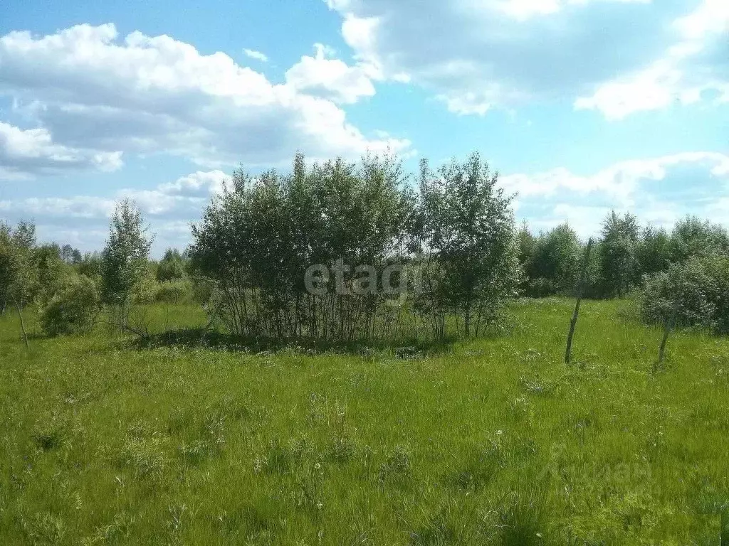 Участок в Калужская область, Малоярославецкий муниципальный округ, с. ... - Фото 1