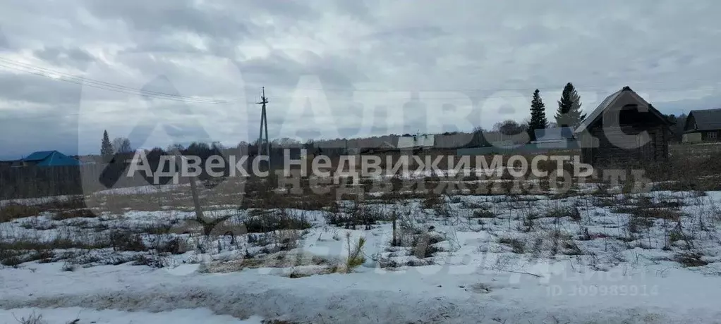 Участок в Тюменская область, Нижнетавдинский район, с. Иска ул. ... - Фото 1