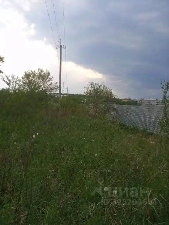 Участок в Амурская область, Серышевский муниципальный округ, с. ... - Фото 2