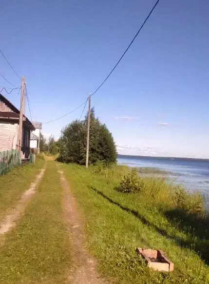 Участок в Новгородская область, Валдайский район, Едровское с/пос, д. ... - Фото 0